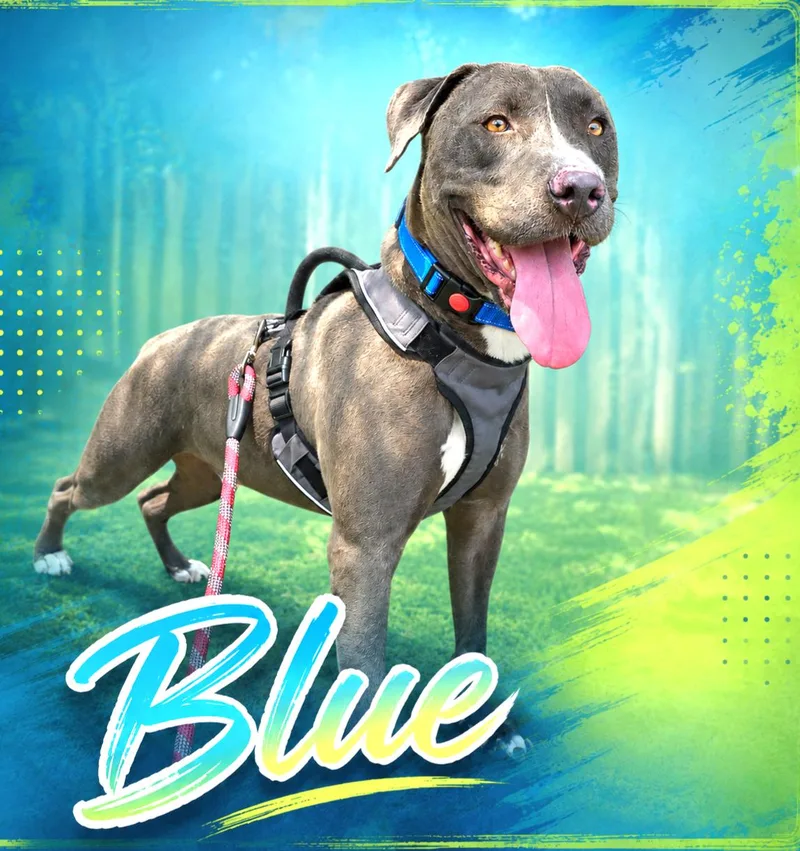 Blue