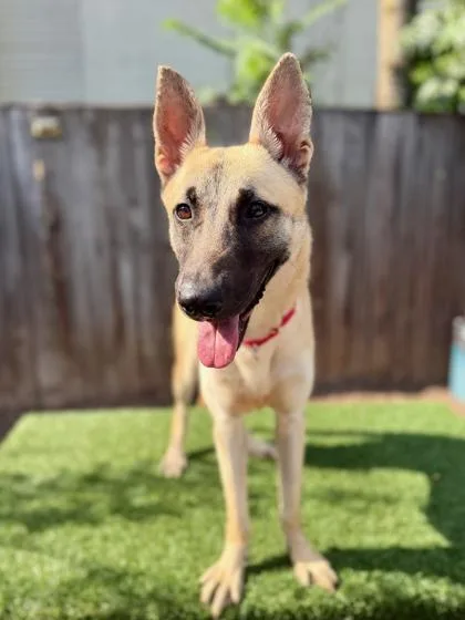 Chloe