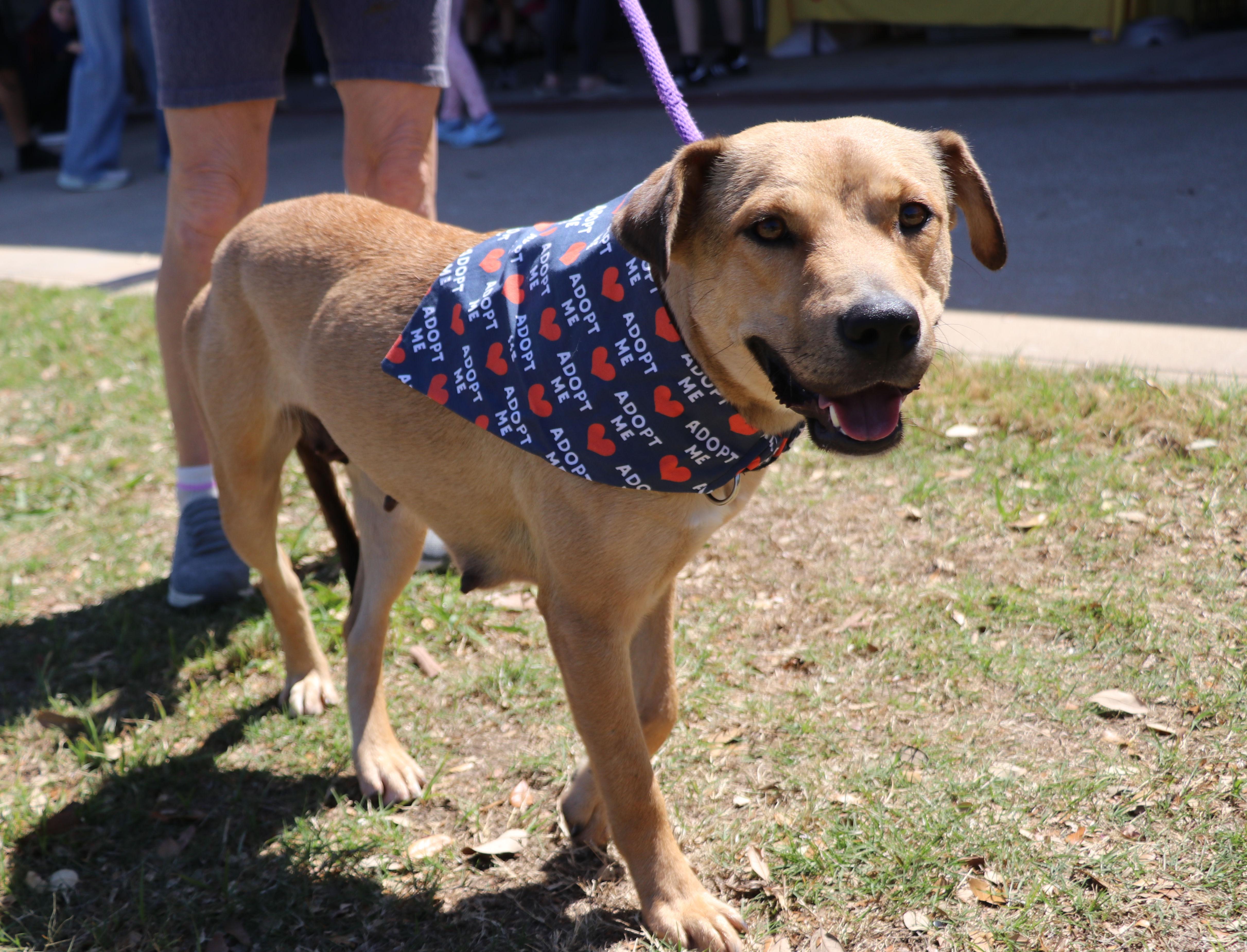 Daisy "daizy" thumbnail 2