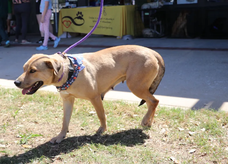 Daisy "daizy" thumbnail 3