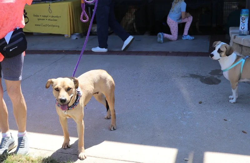 Daisy "daizy" thumbnail 4