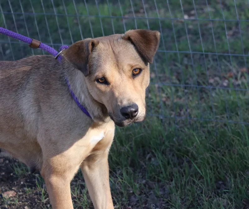 Daisy "daizy" thumbnail 5