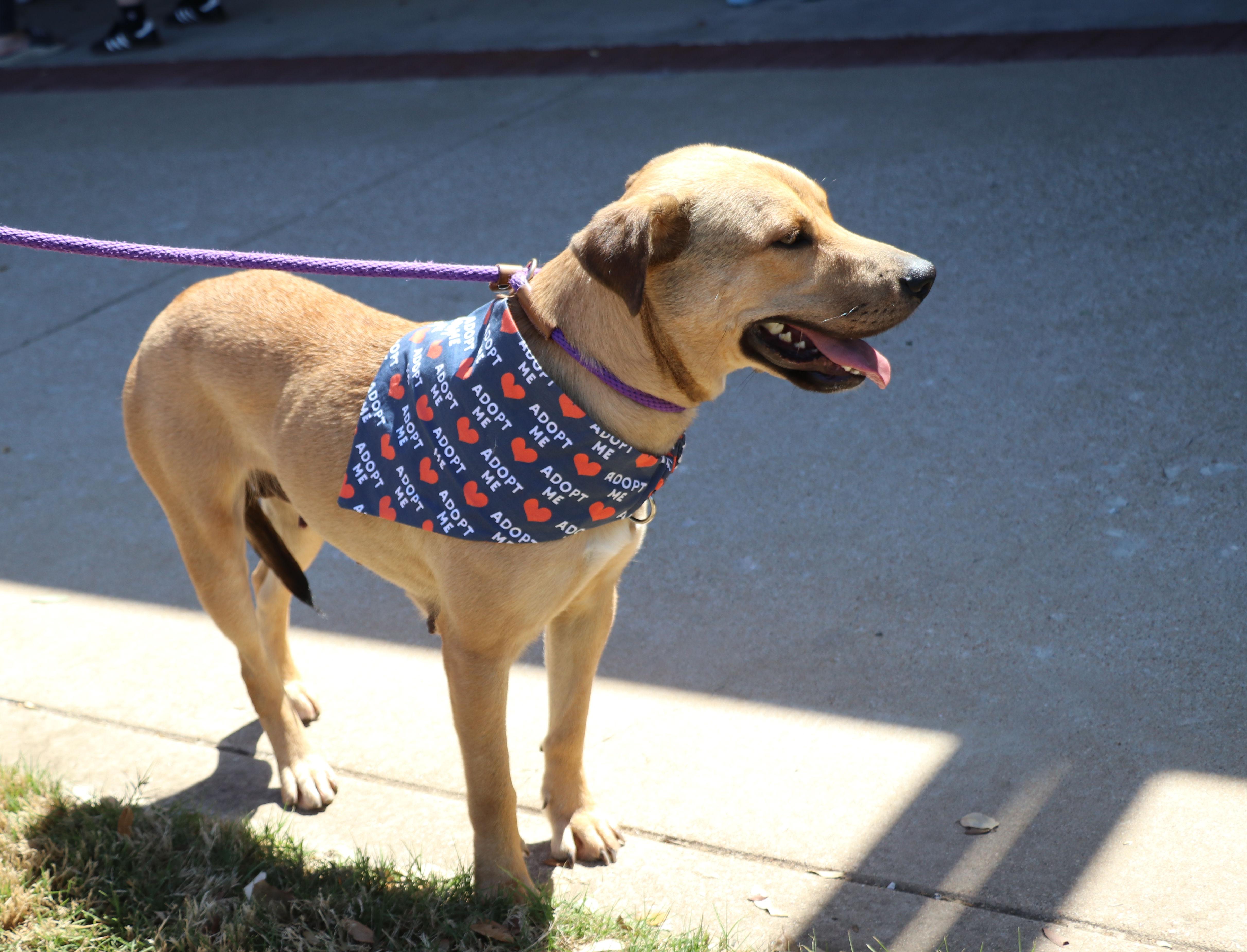 Daisy "daizy" thumbnail 6