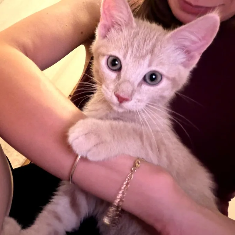 Jerry thumbnail 5