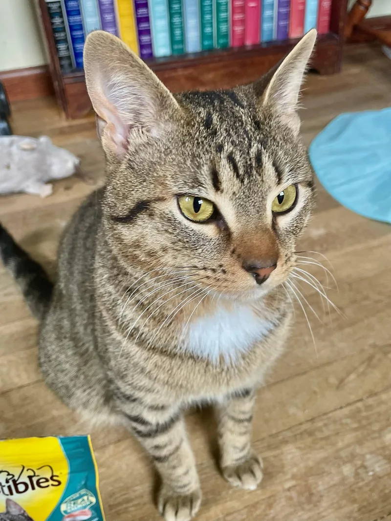 Mr. Beans thumbnail 3