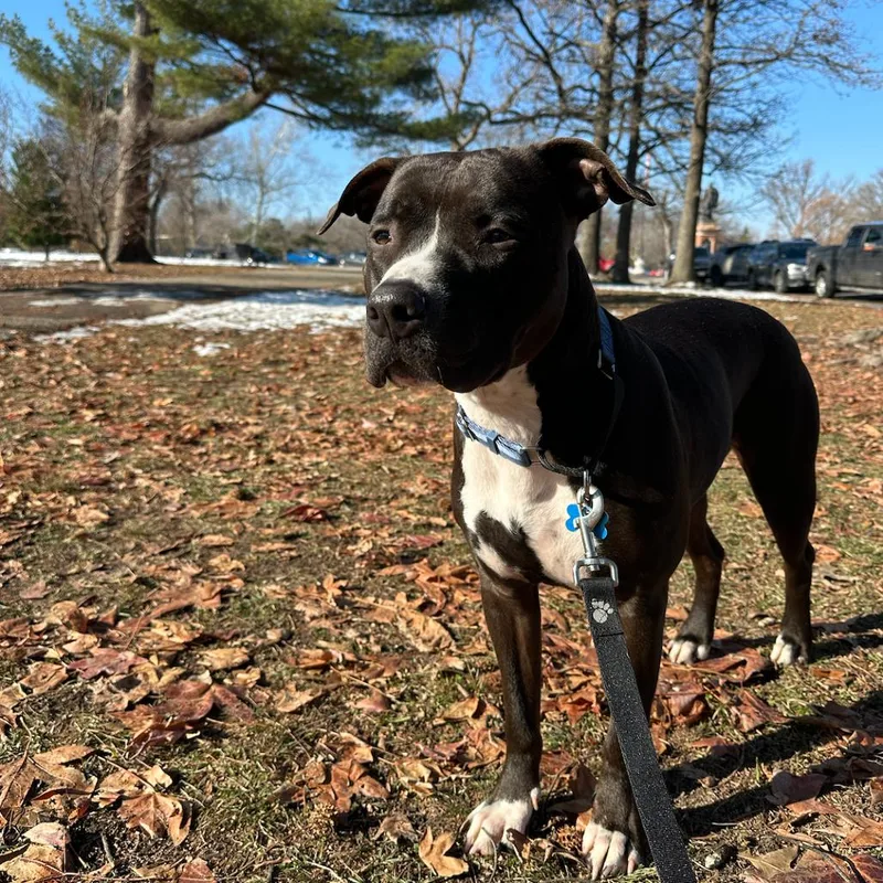 Sunday Funday thumbnail 2