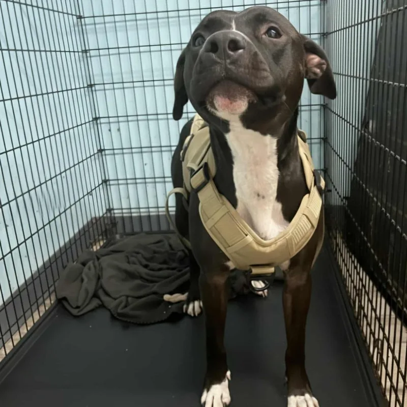 Sunday Funday thumbnail 4