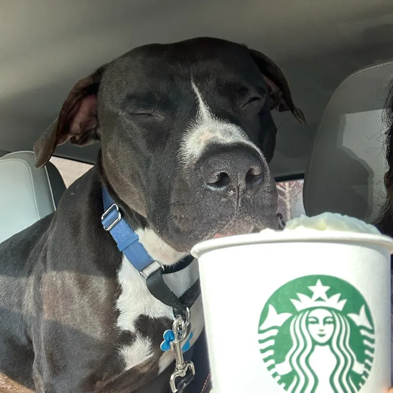 Sunday Funday thumbnail 5