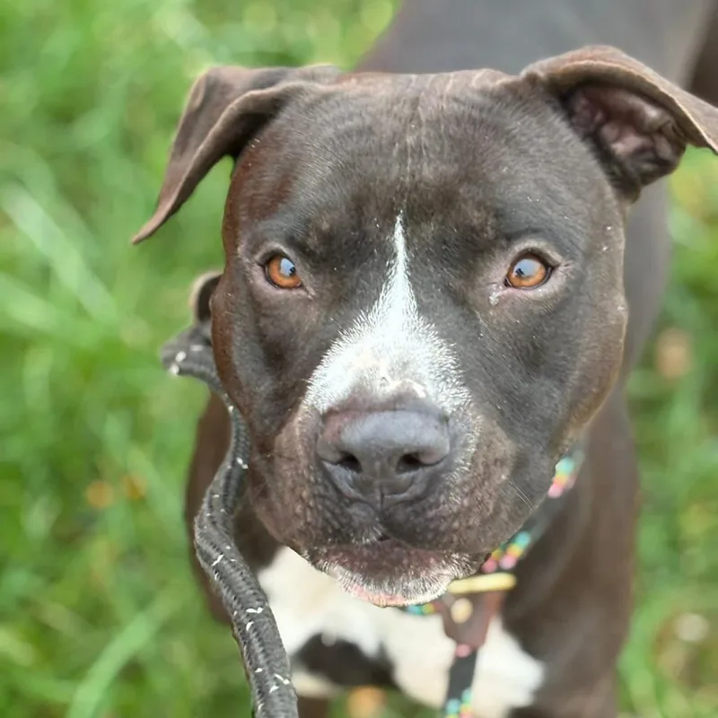 Sunday Funday thumbnail 6