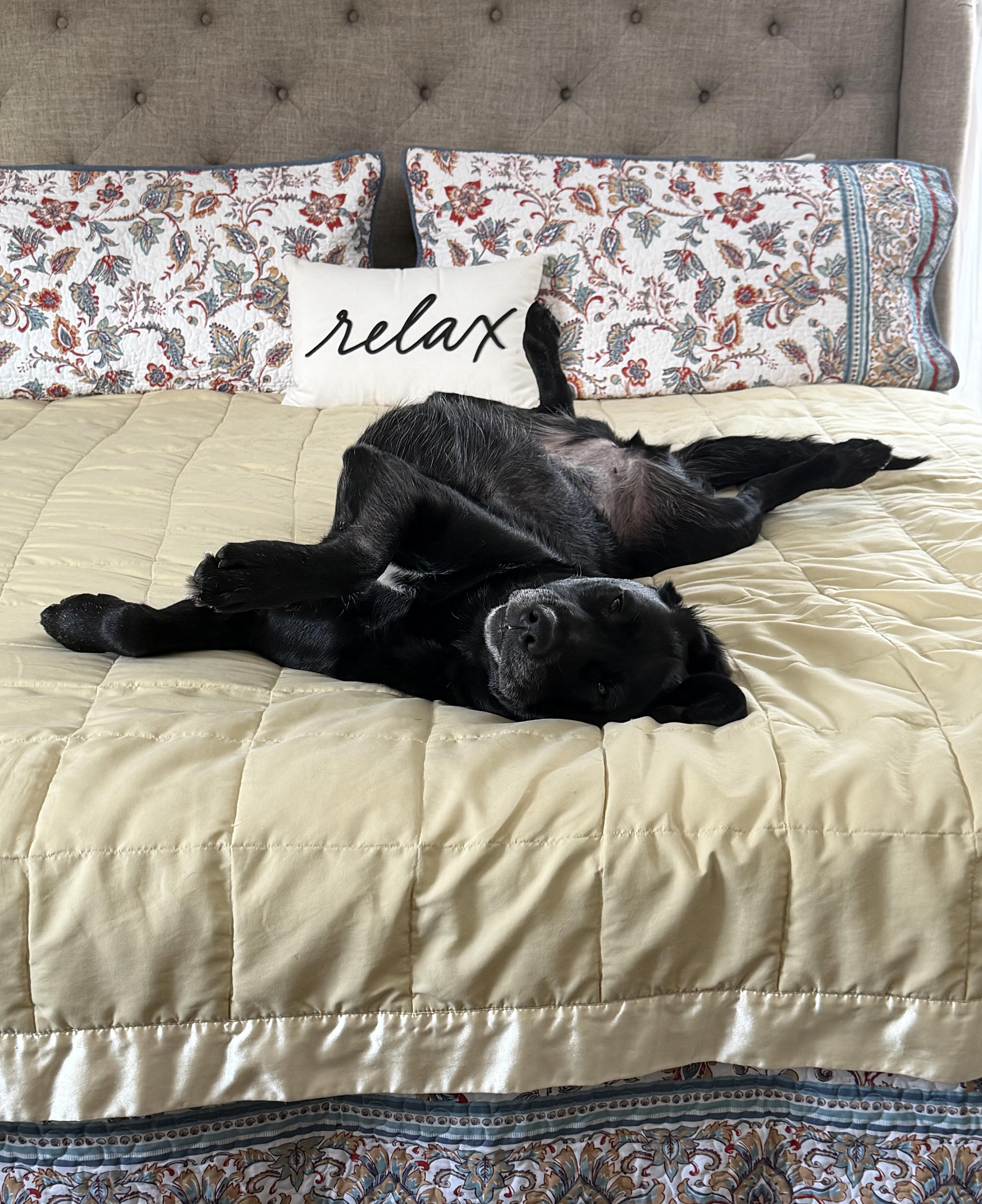 Calliope thumbnail 3