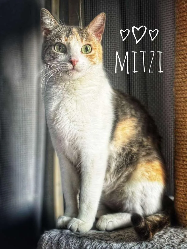 Mitzi