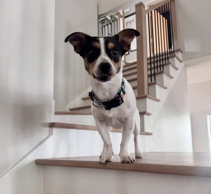 Crouton thumbnail 2