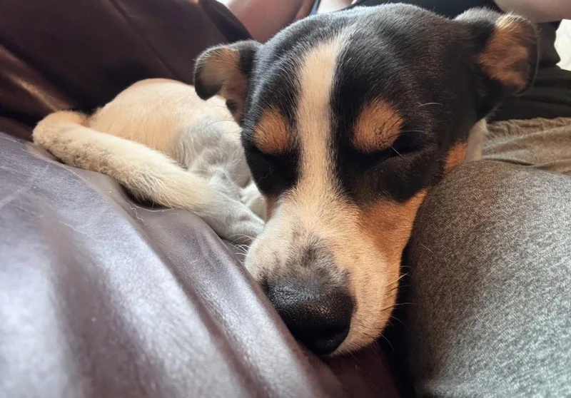 Crouton thumbnail 3