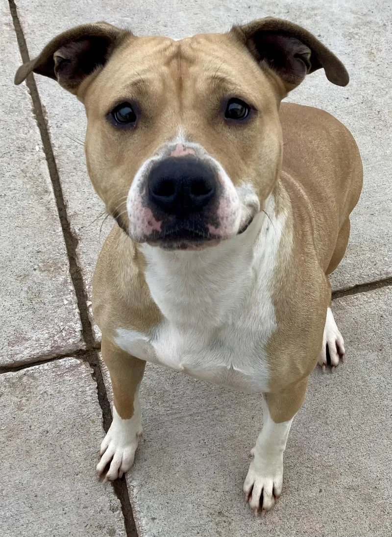 Little Miss Sunshine thumbnail 2