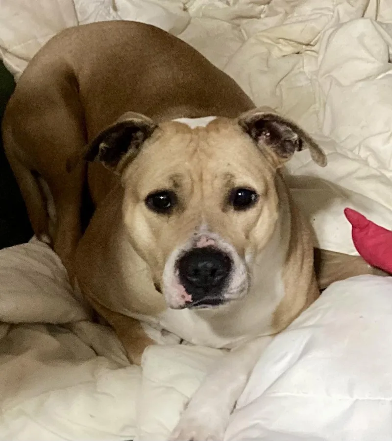 Little Miss Sunshine