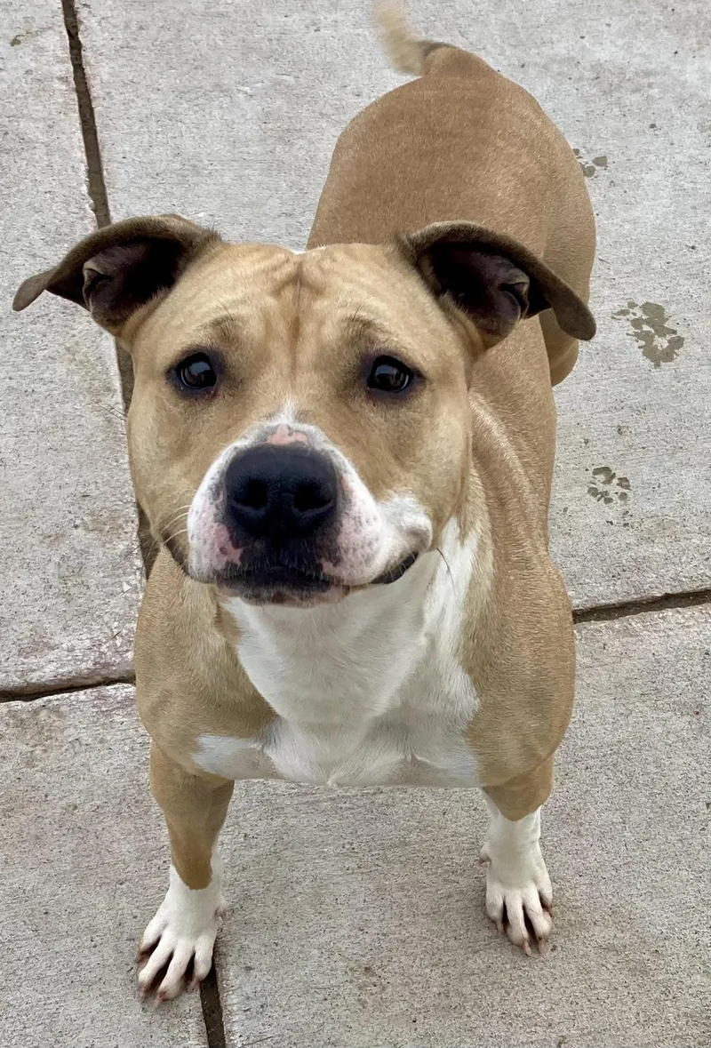 Little Miss Sunshine thumbnail 3