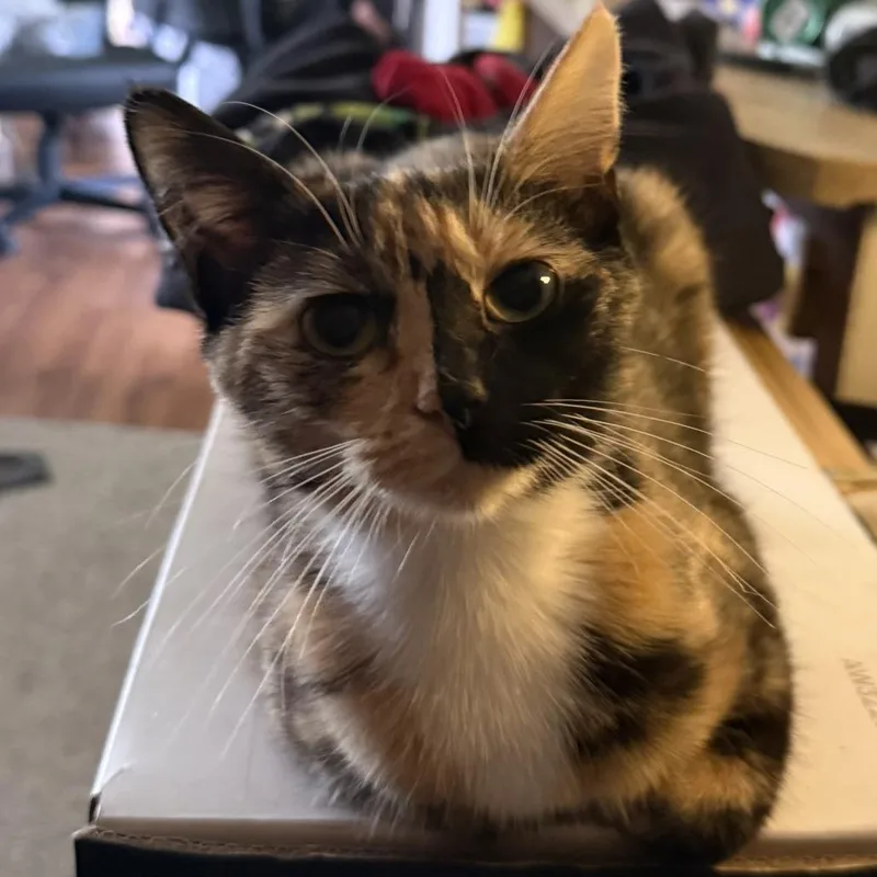 Sabrina thumbnail 6