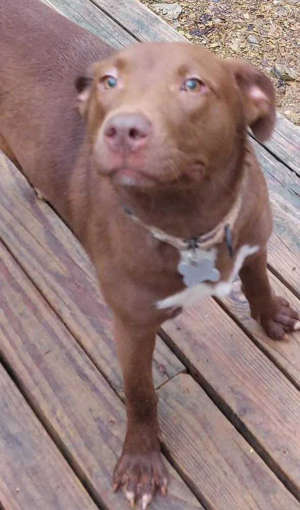 Charisma thumbnail 2