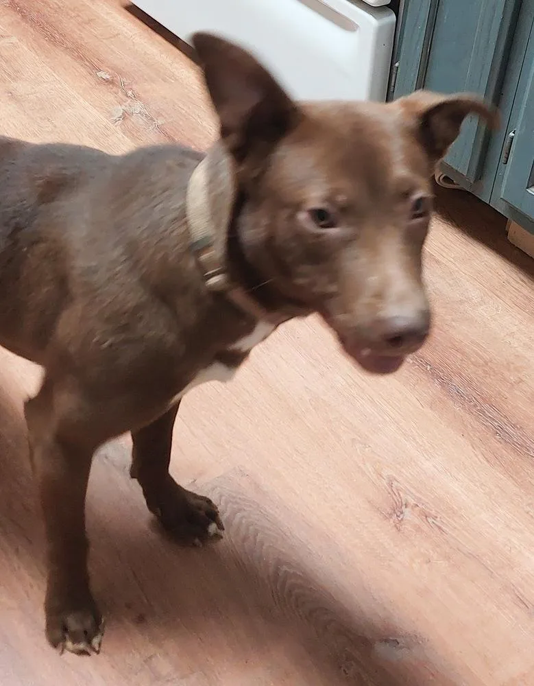 Charisma thumbnail 3