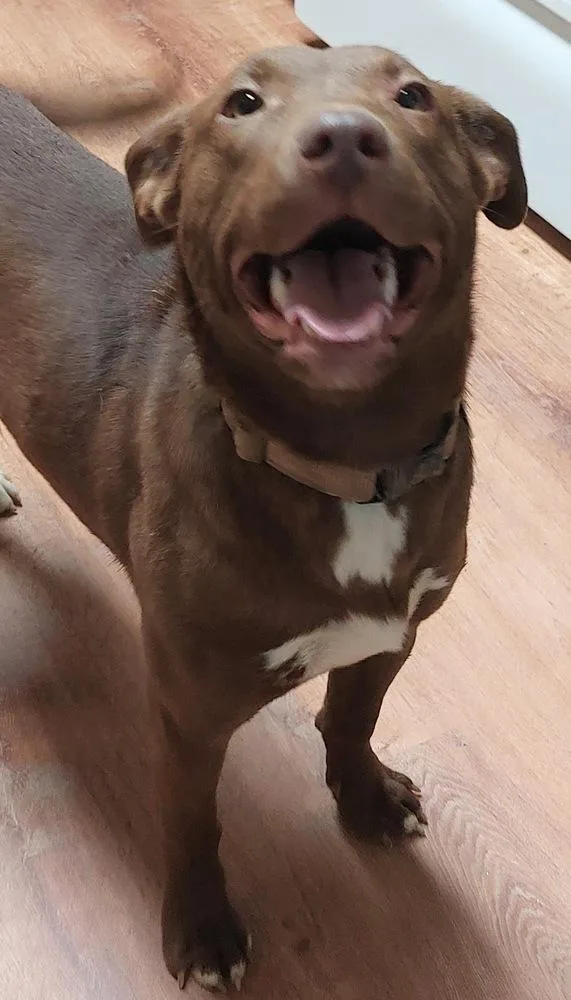 Charisma thumbnail 4