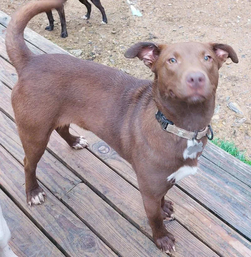 Charisma thumbnail 5