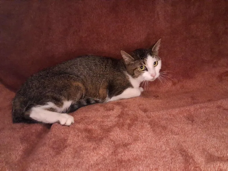 Molly thumbnail 3