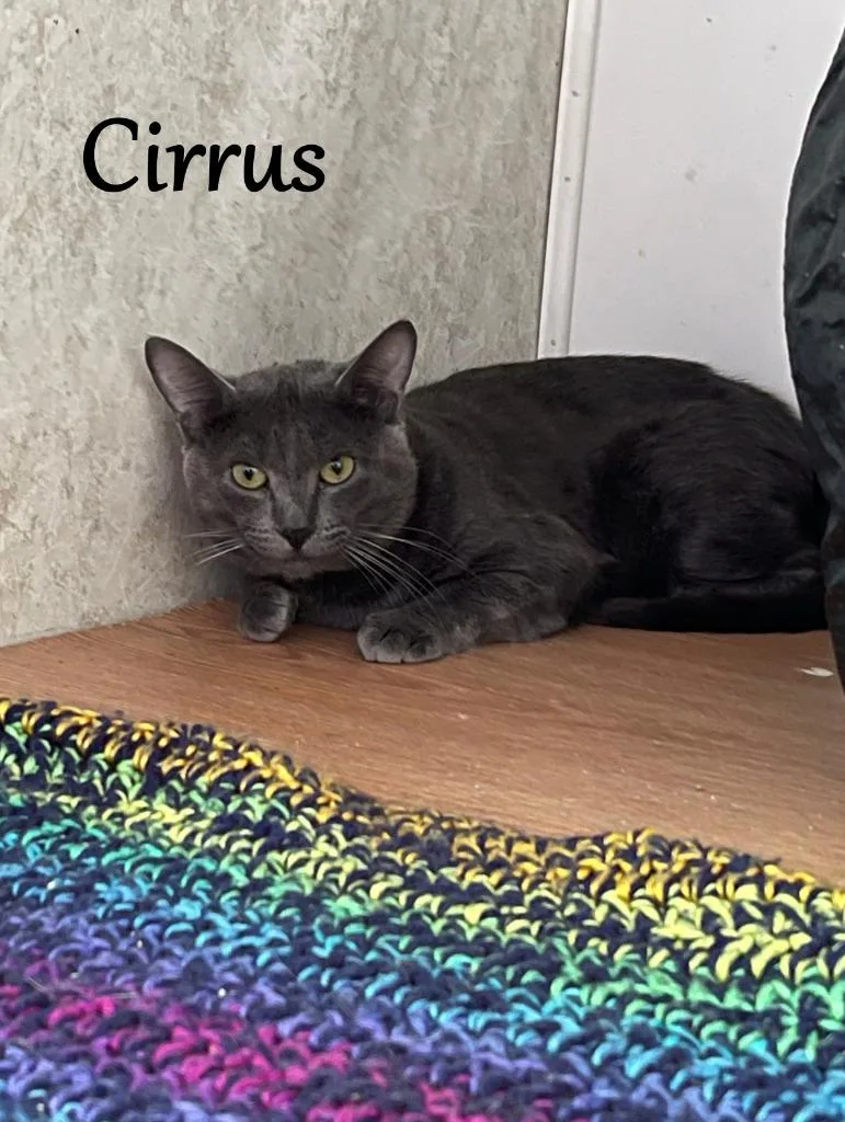 Cirrus