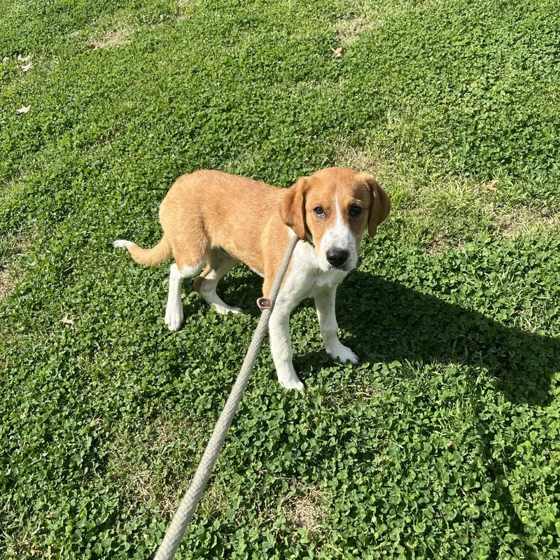 One In A Million thumbnail 2