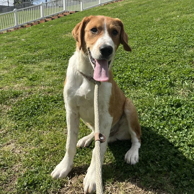 One In A Million thumbnail 3