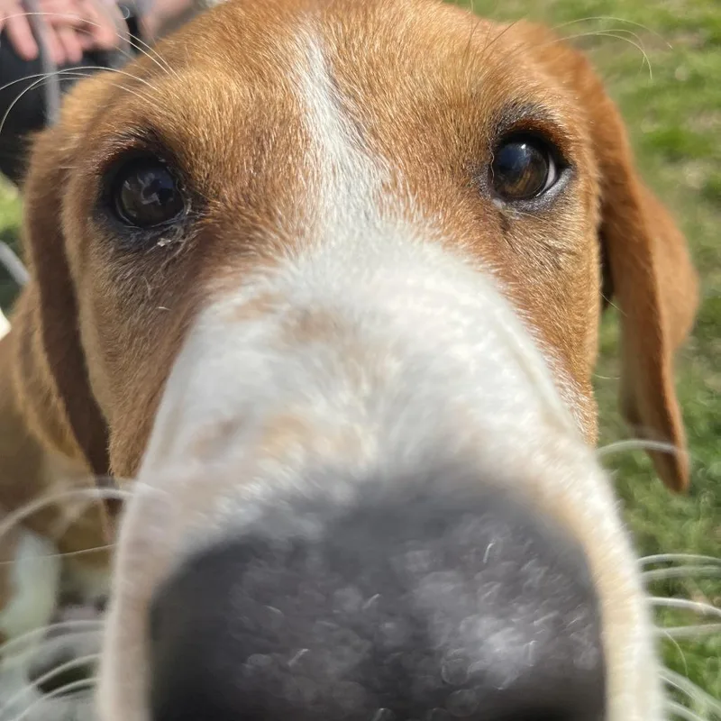 One In A Million thumbnail 4