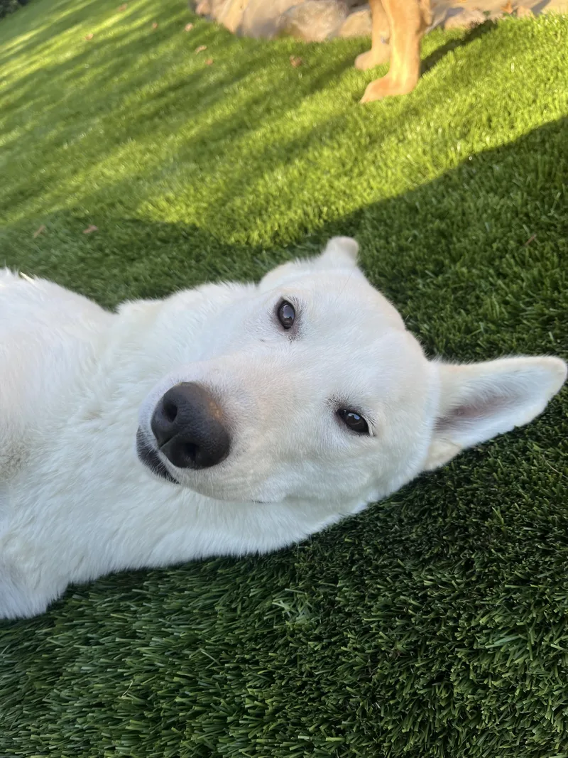 Lulu Fka Luna thumbnail 3