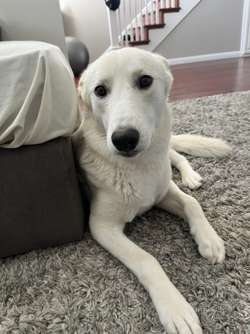 Lulu Fka Luna thumbnail 4