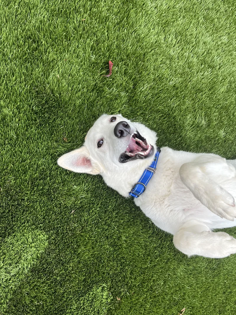 Lulu Fka Luna thumbnail 5