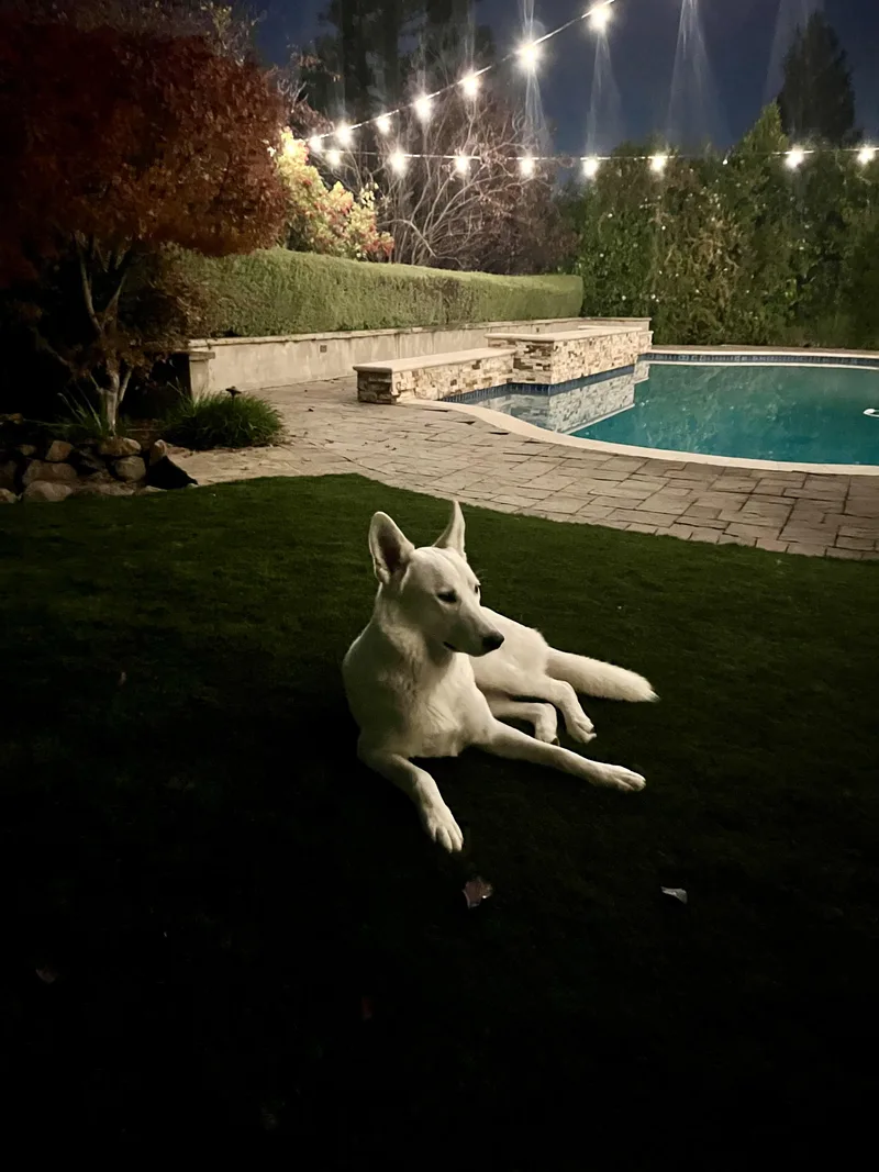 Lulu Fka Luna thumbnail 6