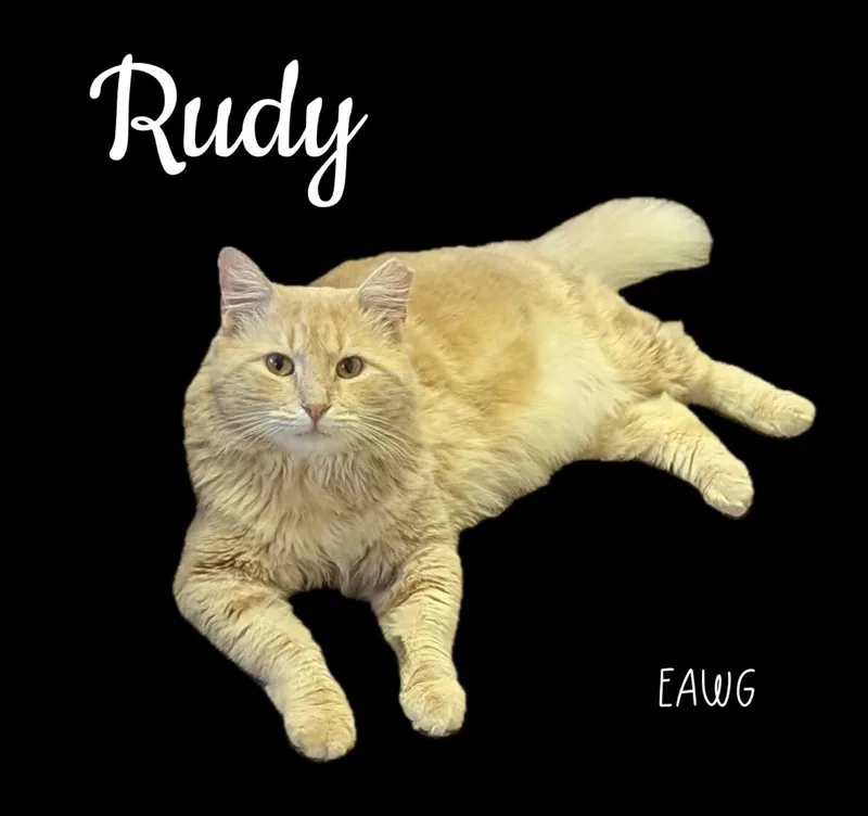Rudy thumbnail 2