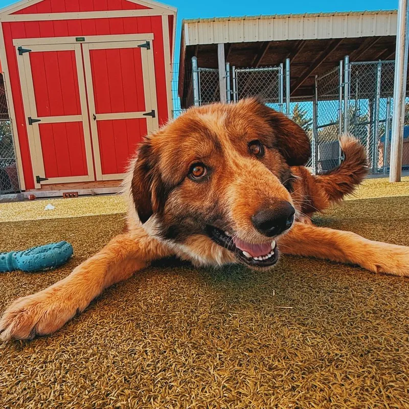 Surf N' Turf thumbnail 3