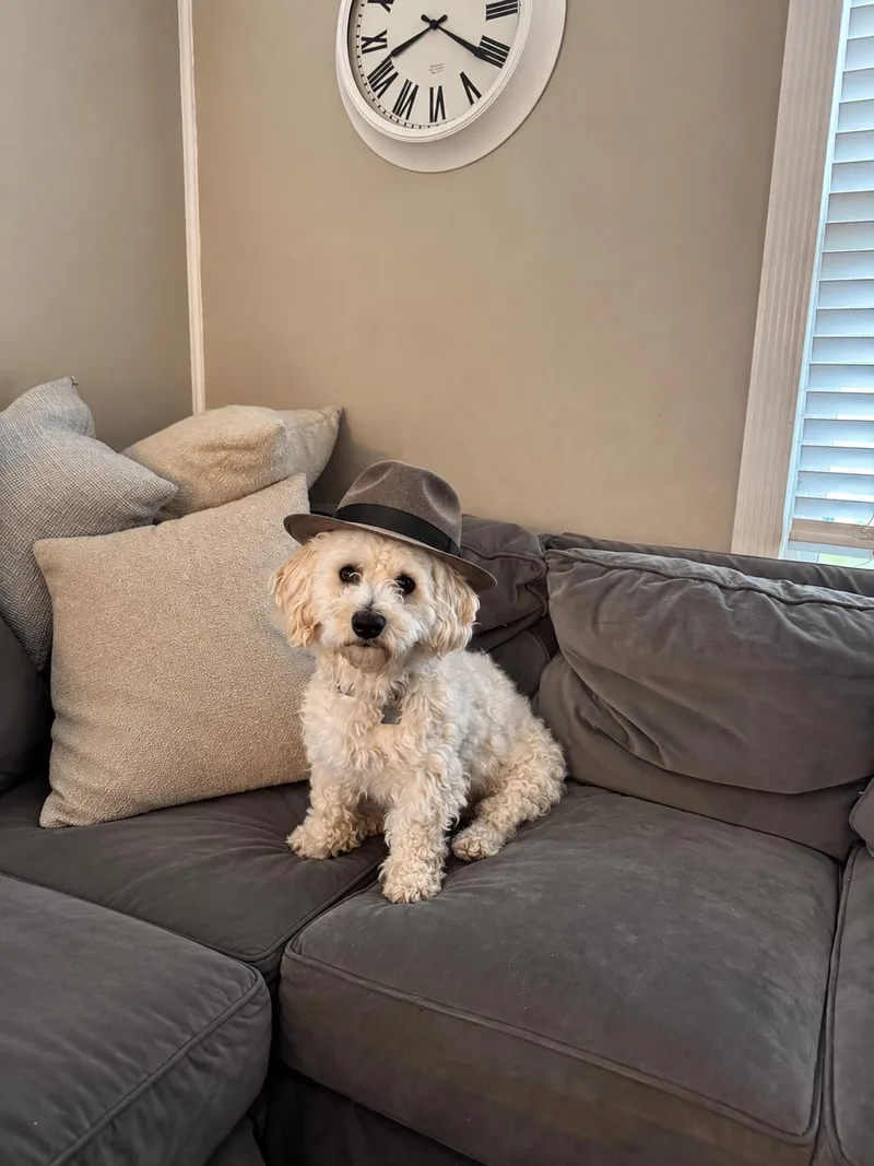 Ralphie thumbnail 2