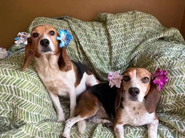 Matty & Ellie thumbnail 4