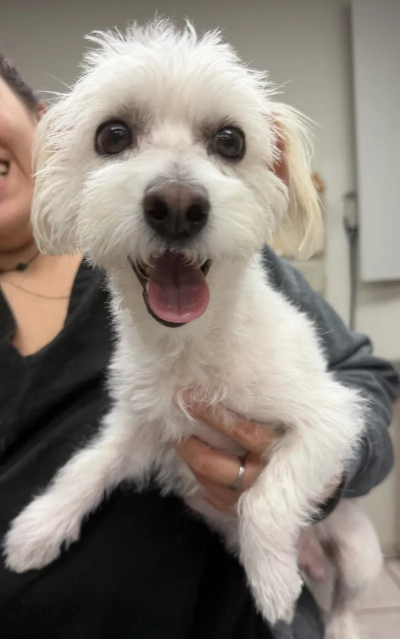 Daisy Mae thumbnail 2