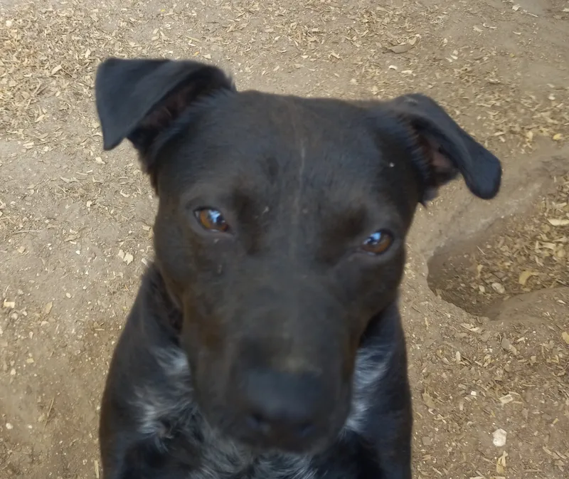 Skittles thumbnail 2