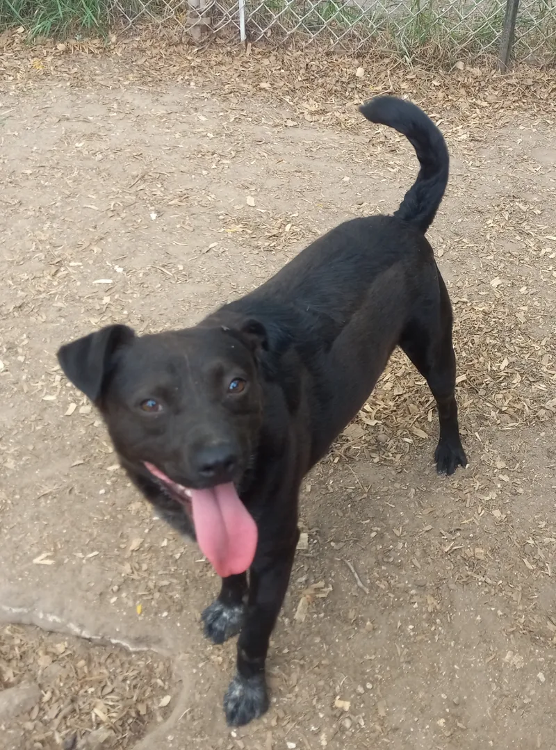 Skittles thumbnail 3