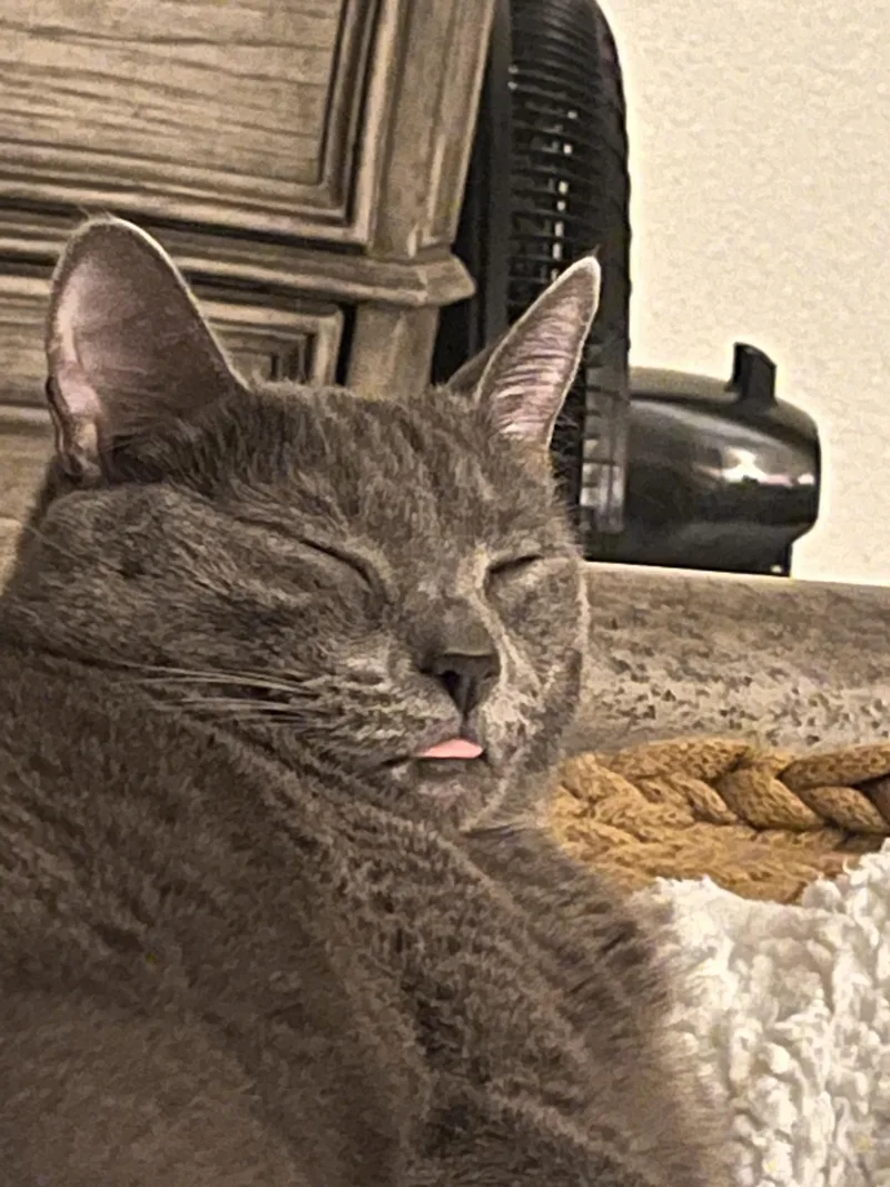 Lucy thumbnail 2