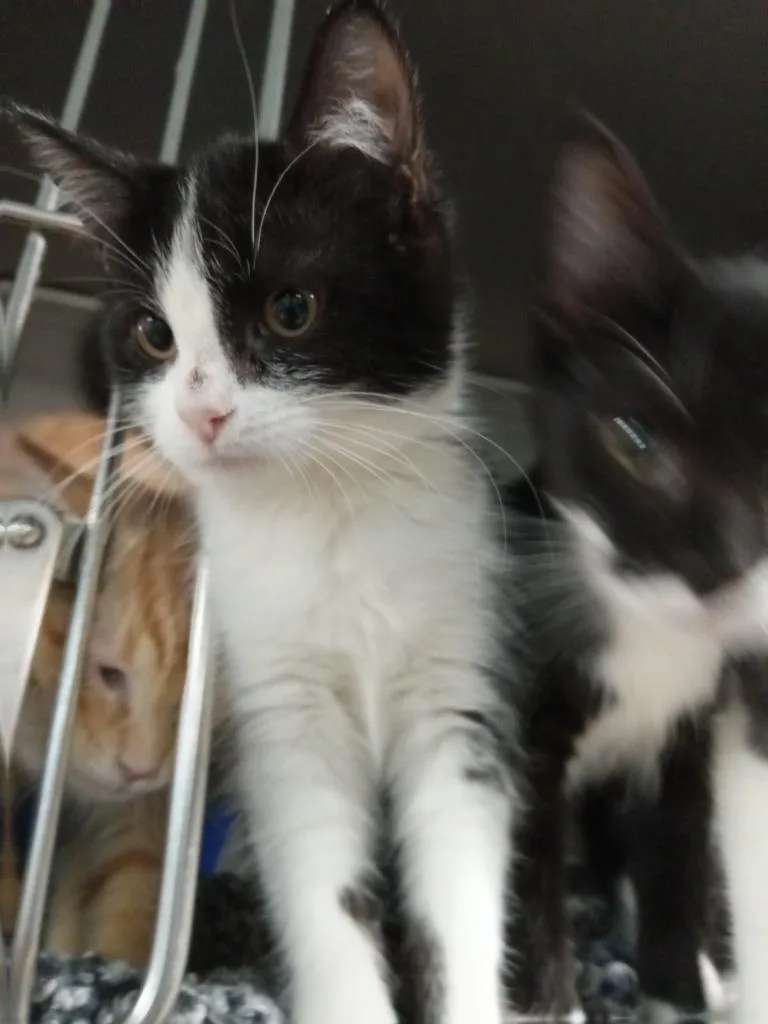 Wednesday thumbnail 2