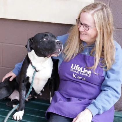 An adult large-sized female Mixed Breed dog named Mindy for adoption in Chamblee, GA