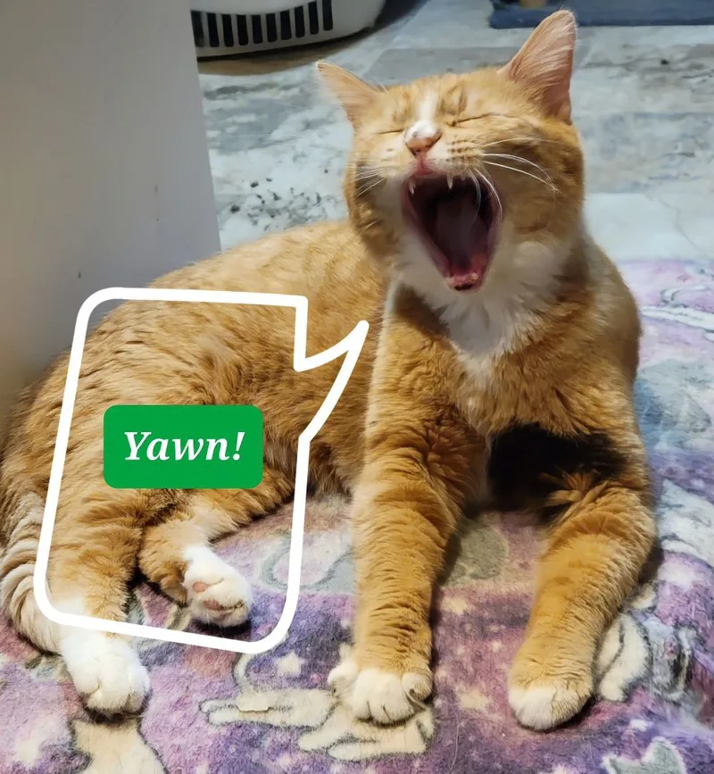 Hilda Matilda thumbnail 2