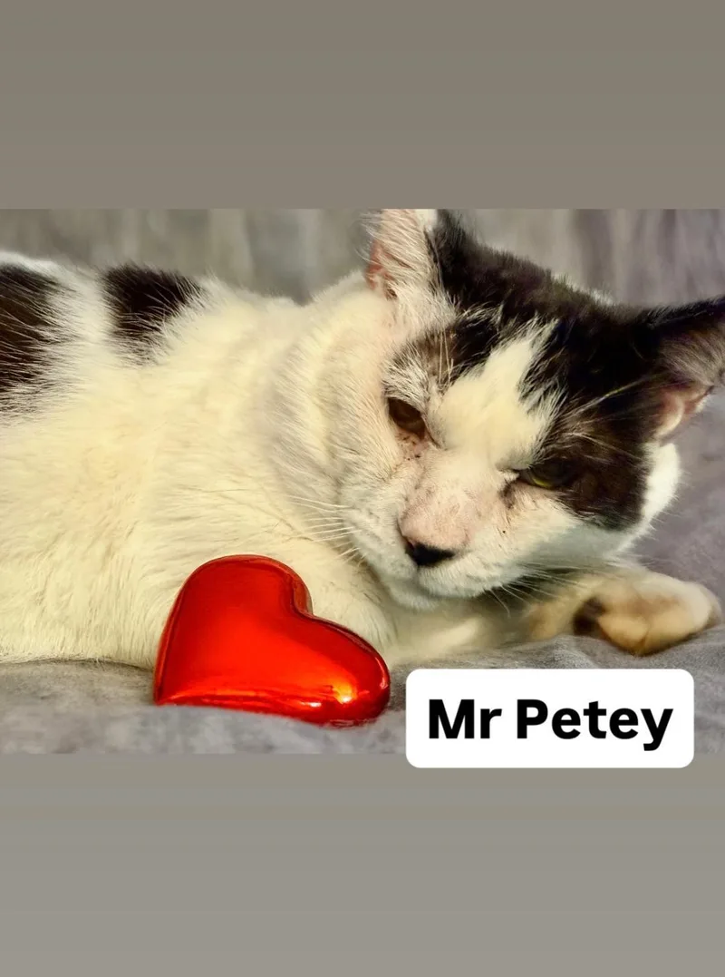 Mr Petey At Martinez thumbnail 2