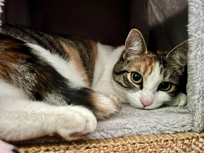 Ginger Spice Boy!! thumbnail 3