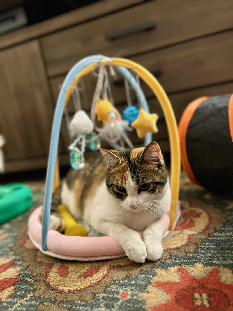 Ginger Spice Boy!! thumbnail 5