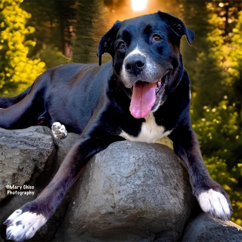 Bailey Jean thumbnail 2