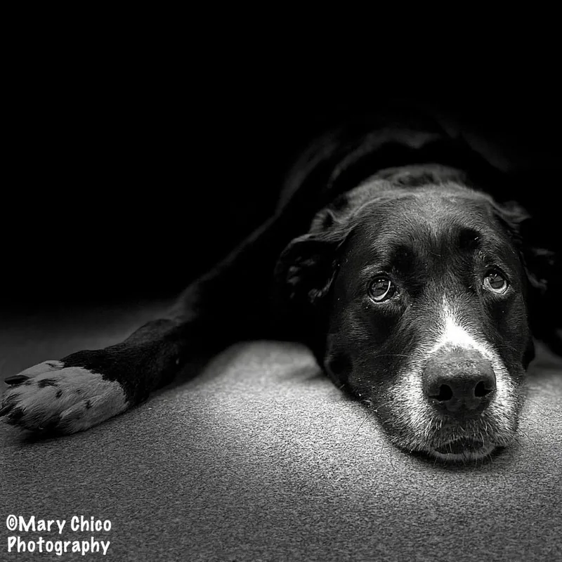 Bailey Jean thumbnail 3